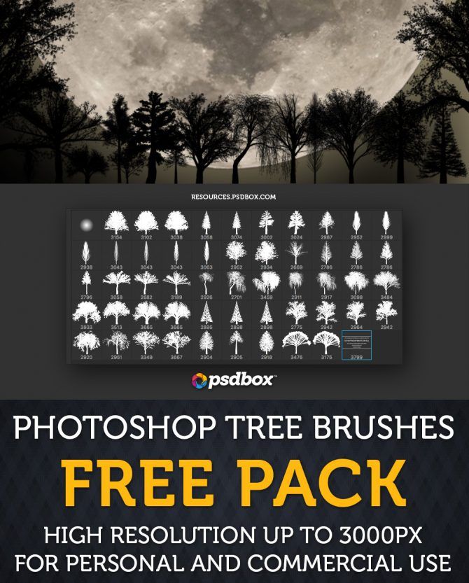 photoshop cloud brushes for mac